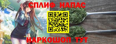 МДПВ Краснознаменск