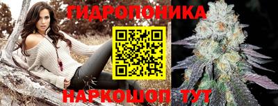 МДПВ Краснознаменск